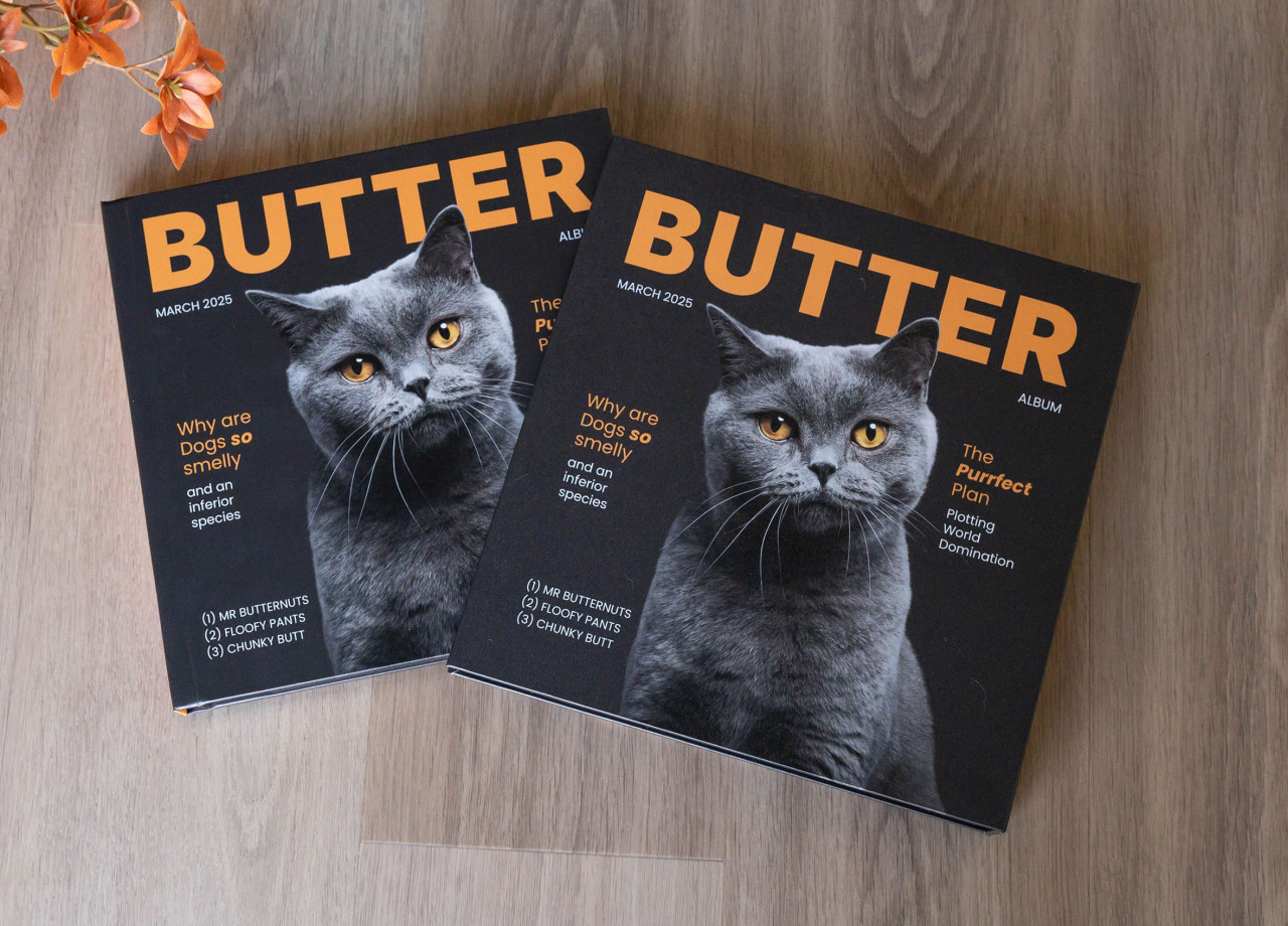 Lifestyle Books - Lustre