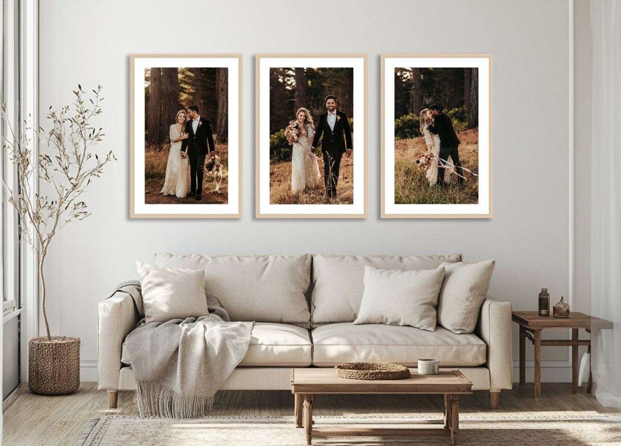 FRAMED PRINT COLLECTIONS