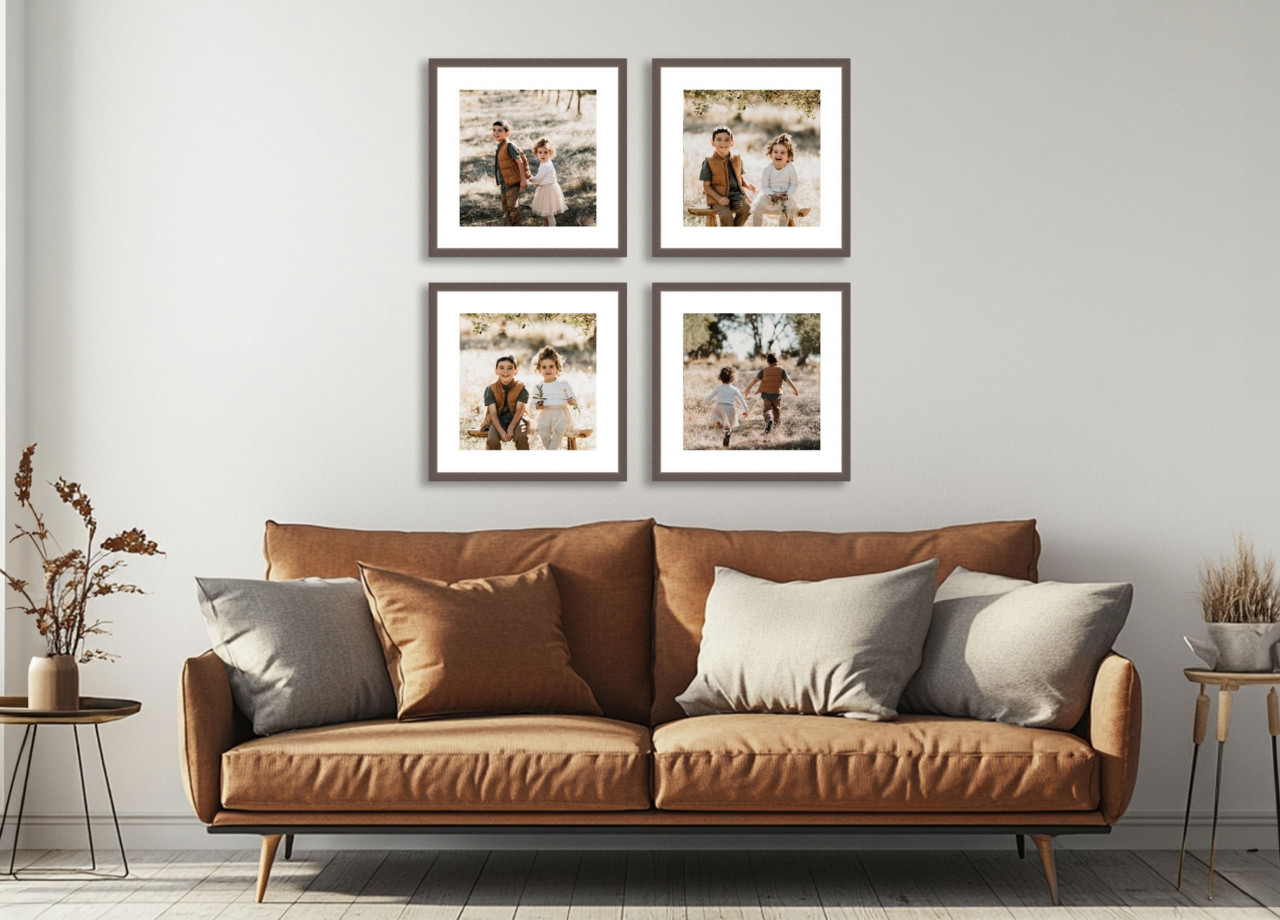 FRAMED PRINT COLLECTIONS