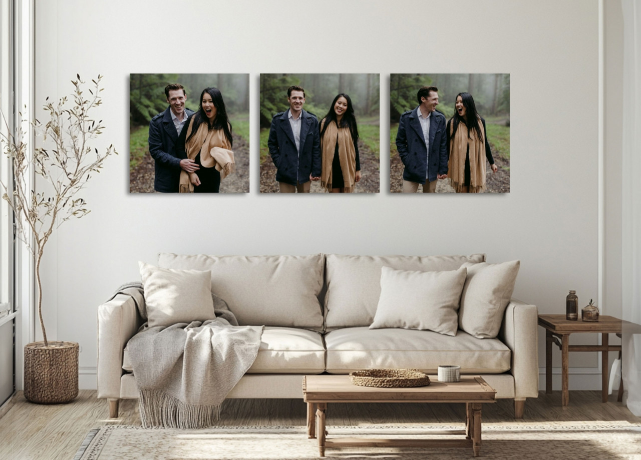 CANVAS COLLECTIONS