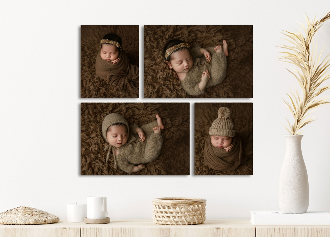 CANVAS COLLECTIONS