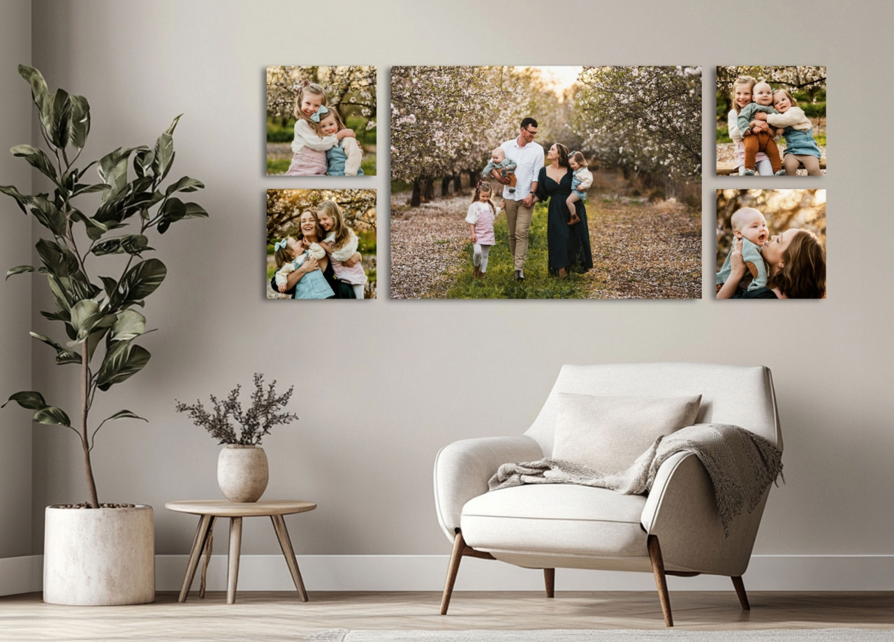 CANVAS COLLECTIONS