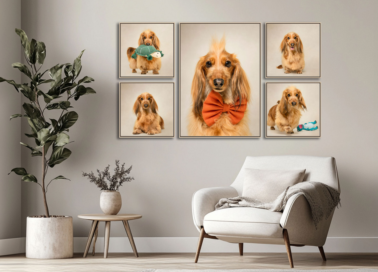 FRAMED CANVAS COLLECTIONS