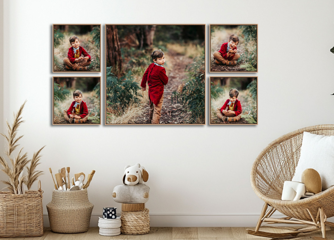 FRAMED CANVAS COLLECTIONS