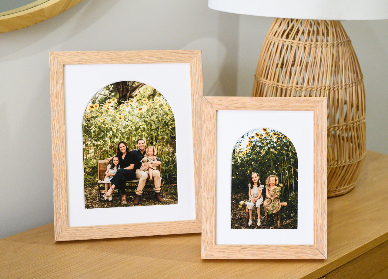 Desk Frames
