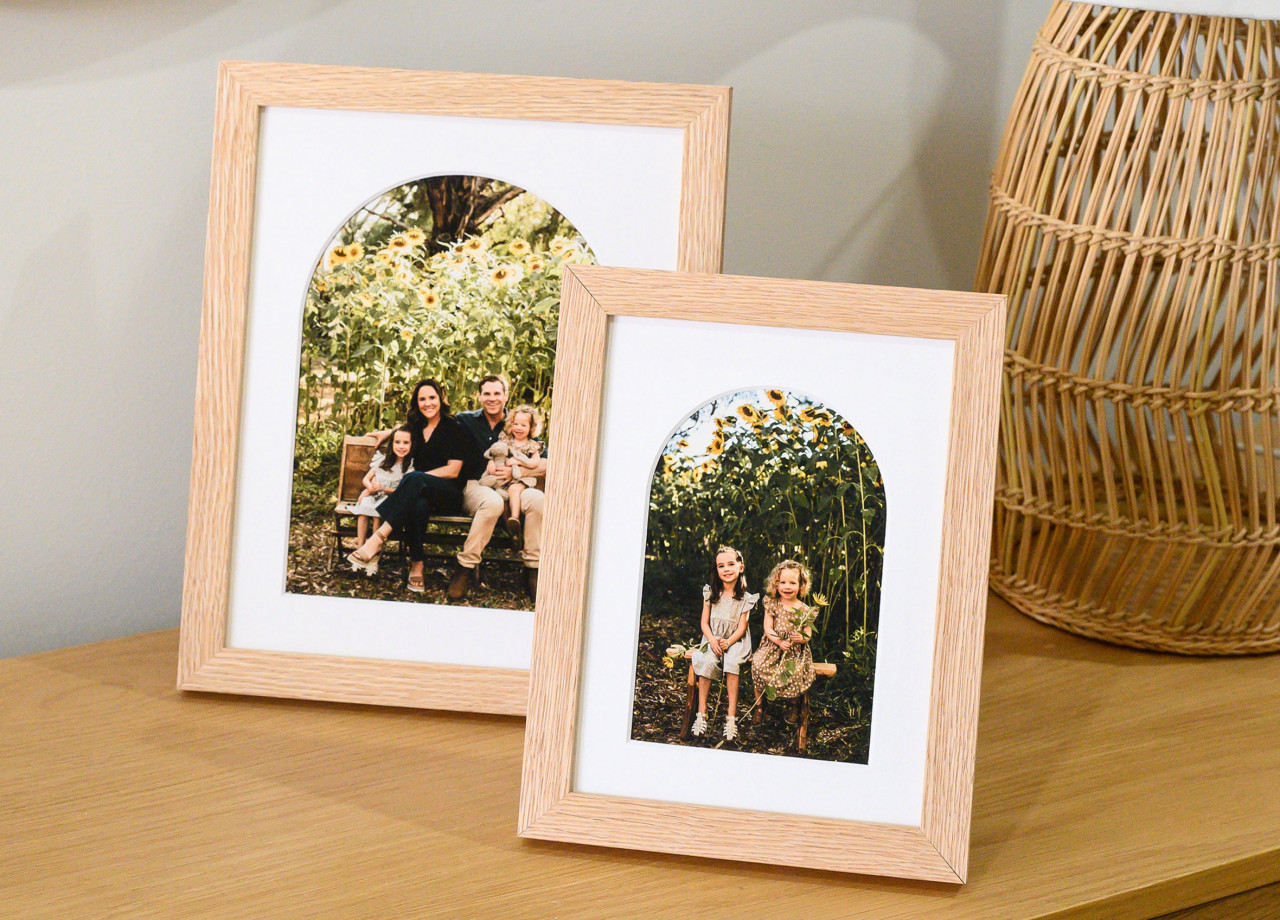 Desk Frames