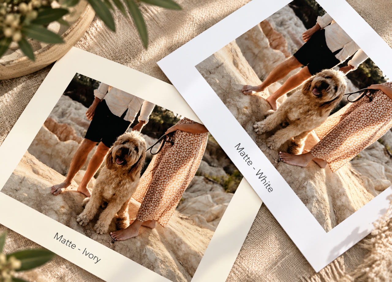 PHOTOGRAPHIC PRINTS
