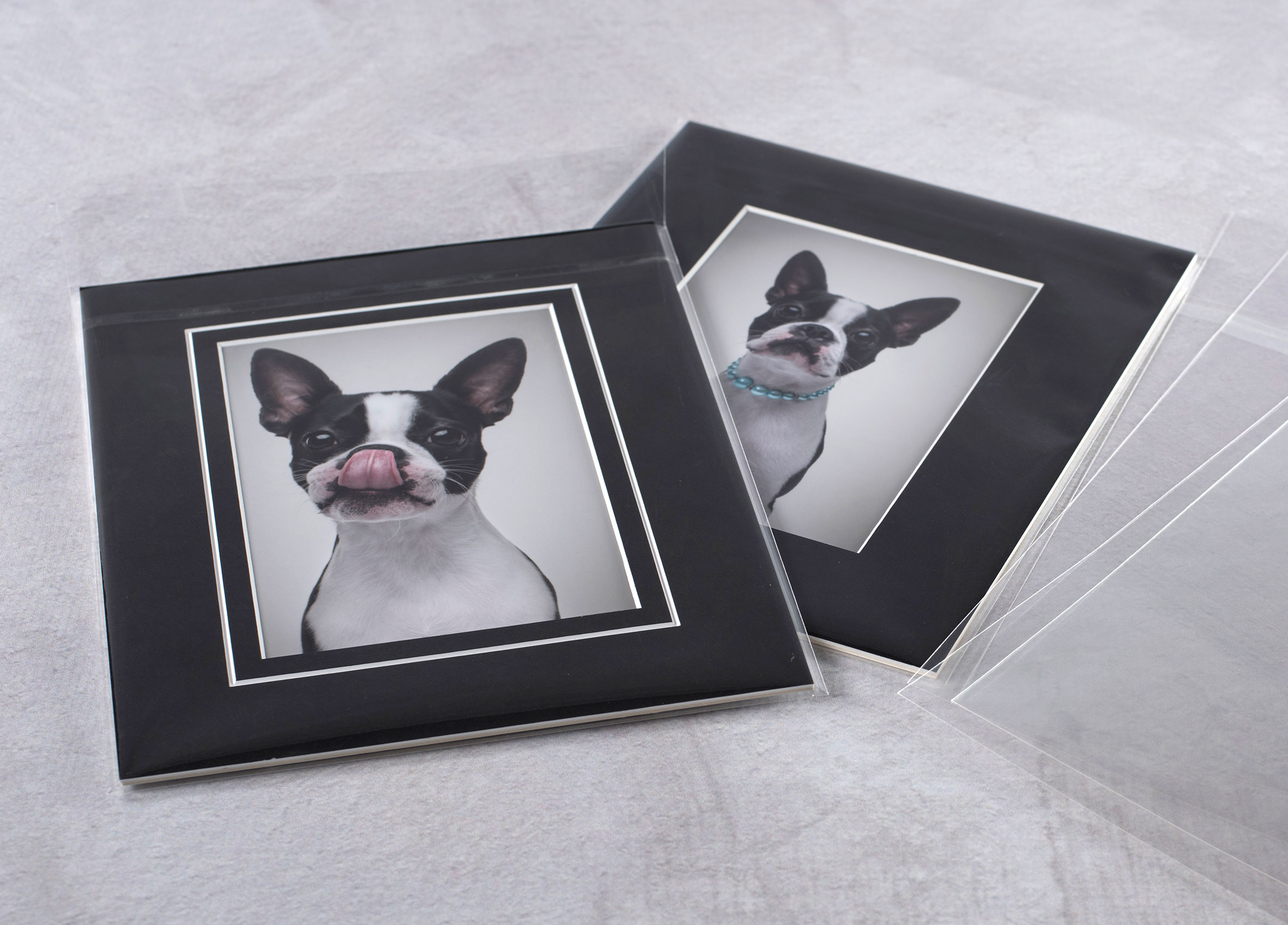 PRINTED FRAME MOUNTS Seldex Artistic Albums